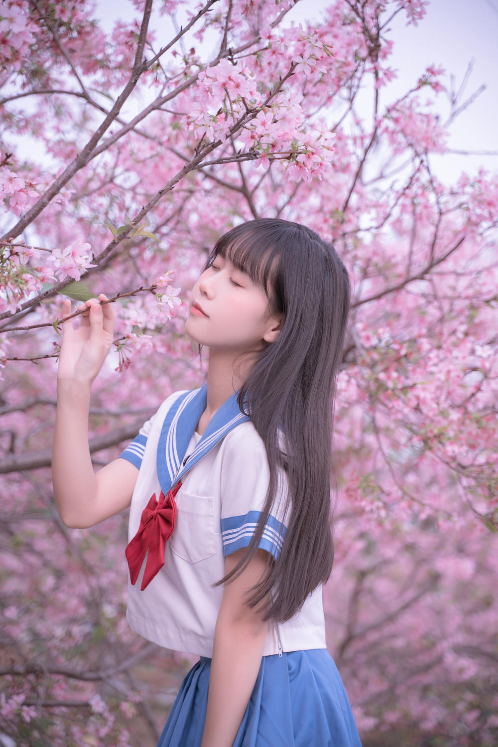 萌芽儿o0  樱花jk [31P-426MB]